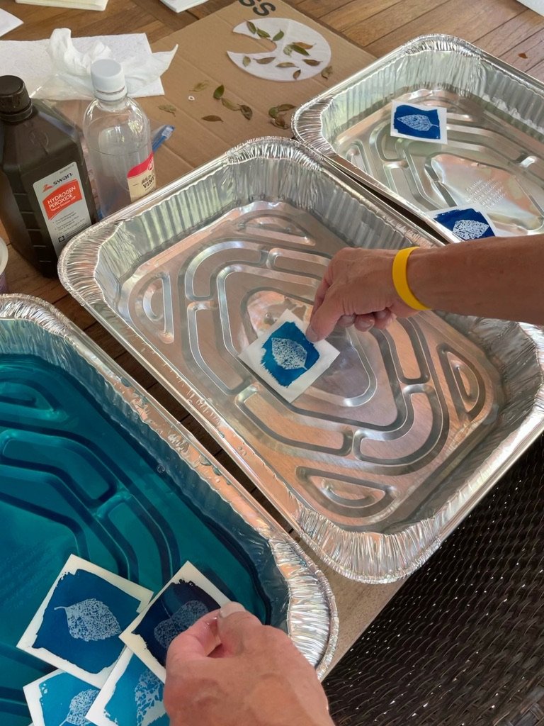 Cyanotype Developing Trays